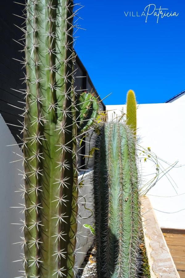 Villa Patricia Corralejo Bagian luar foto